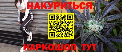Альфа ПВП Кингисепп