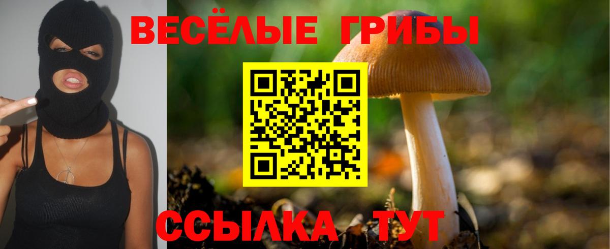 Галлюциногенные грибы Cubensis Краснокаменск